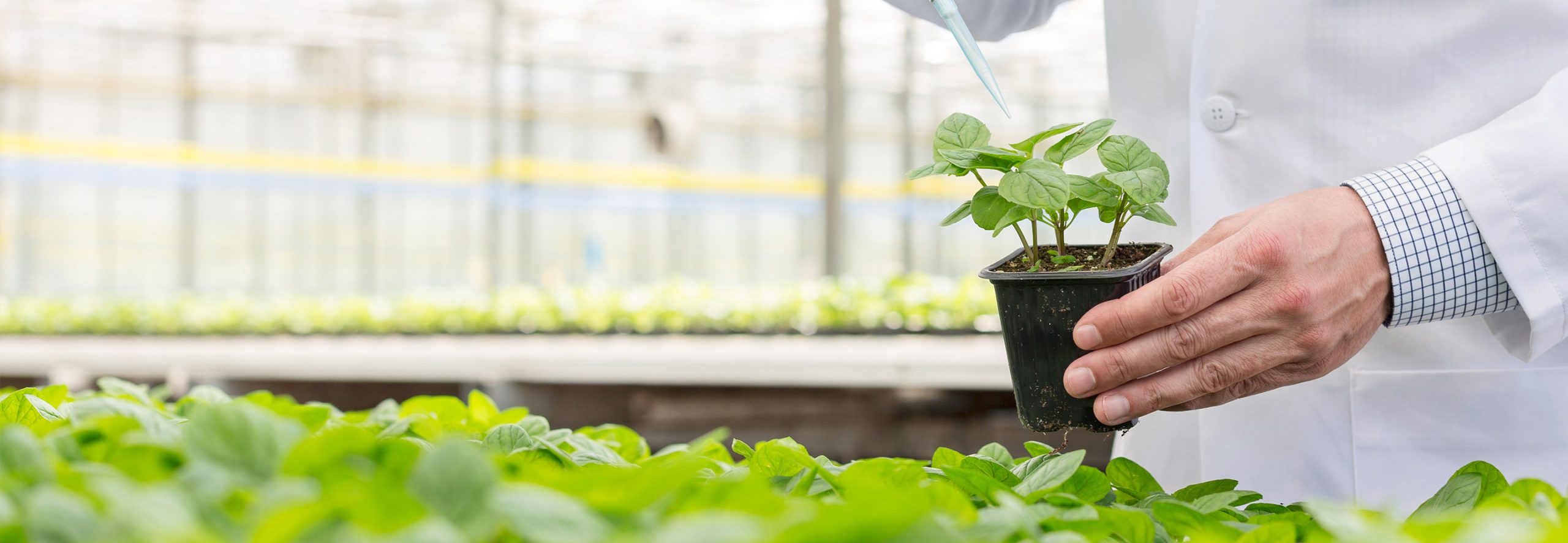Contributions of tobacco industry in Vietnam