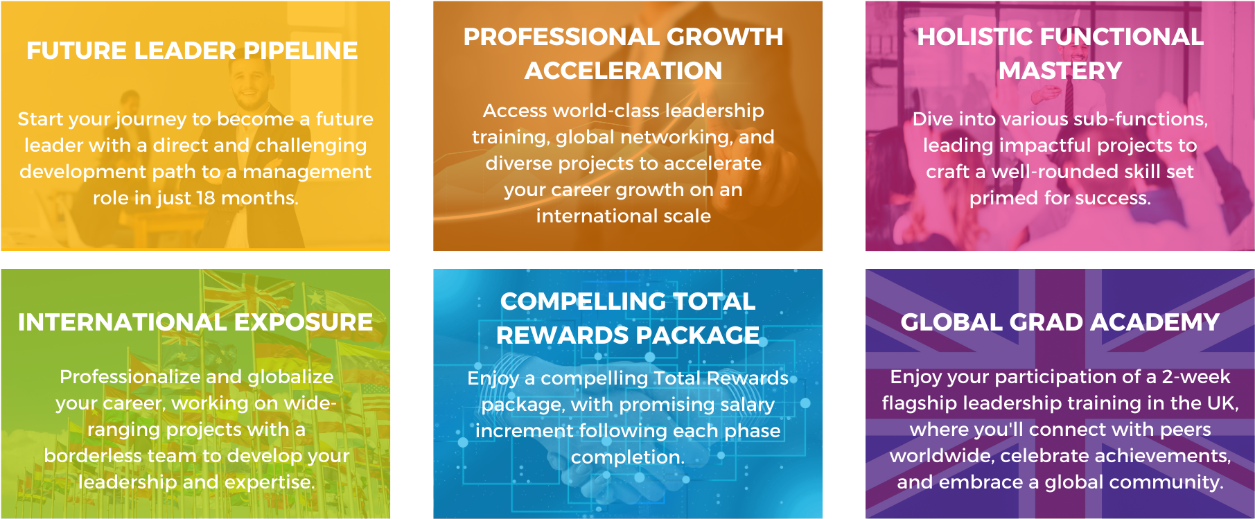 Why should you join the Global Graduate Programme