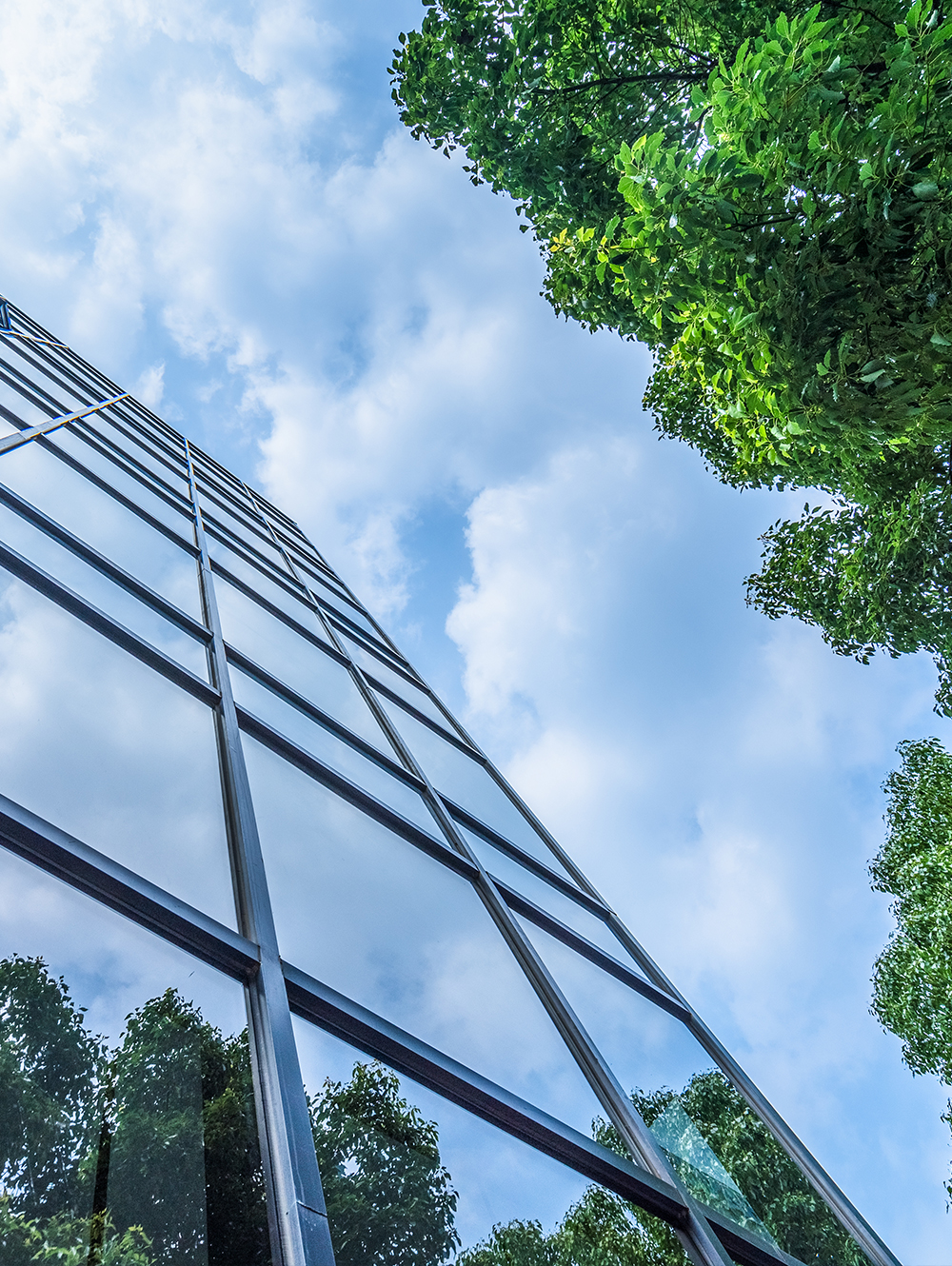 Our supporting ESG priorities