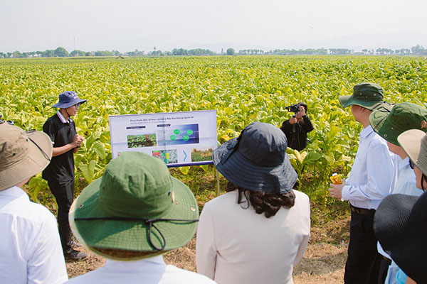 BAT Vietnam to organize Leaf growing area visit