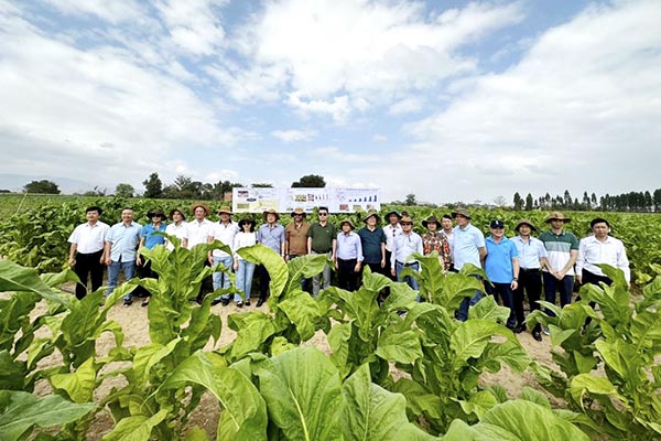 BAT-Vinataba participated in the trip to the leaf-growing area, recognizing many positive results