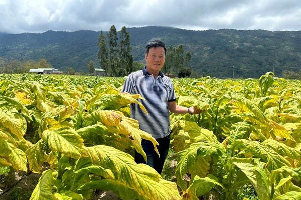 “Ripe Top” project to enhance farmer livelihoods