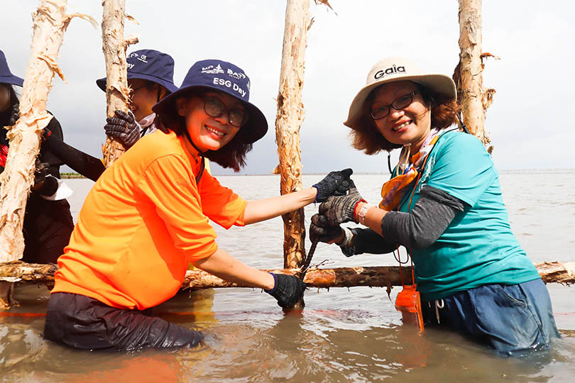 Bat Vietnam Continues