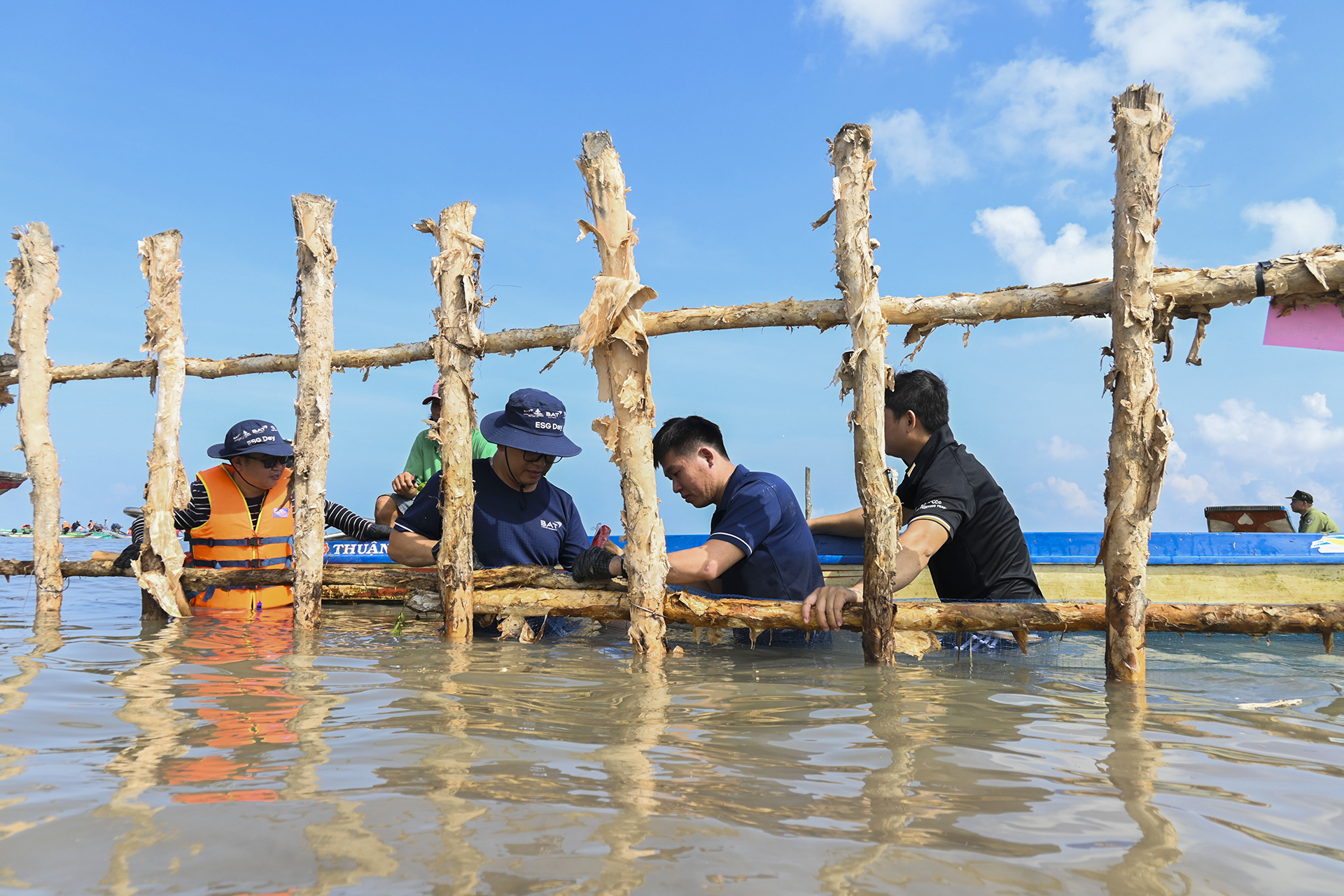BAT Vietnam employees implement zoning for natural restoration for mangrove forests 