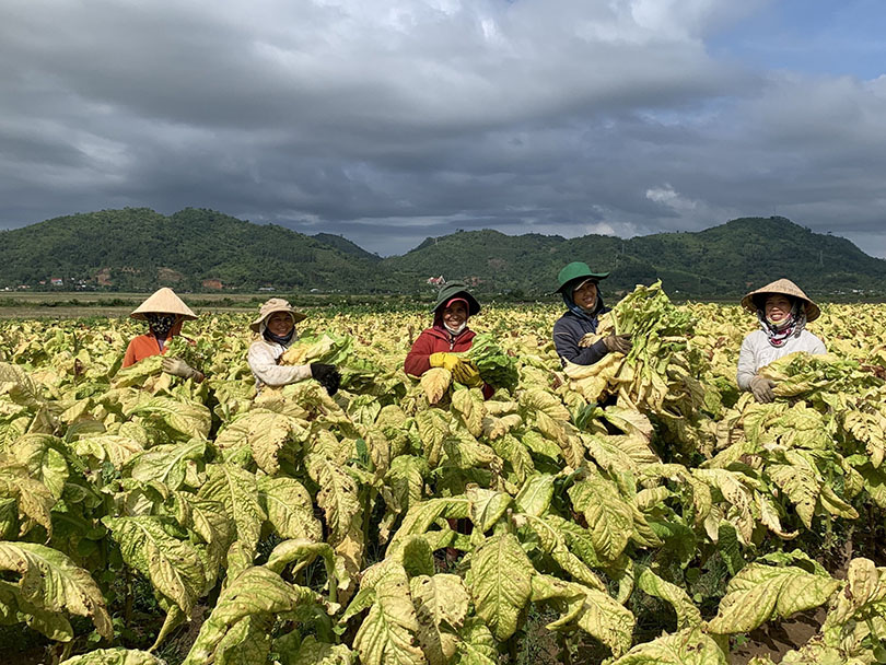  Sustainable Production Program For Farmers 