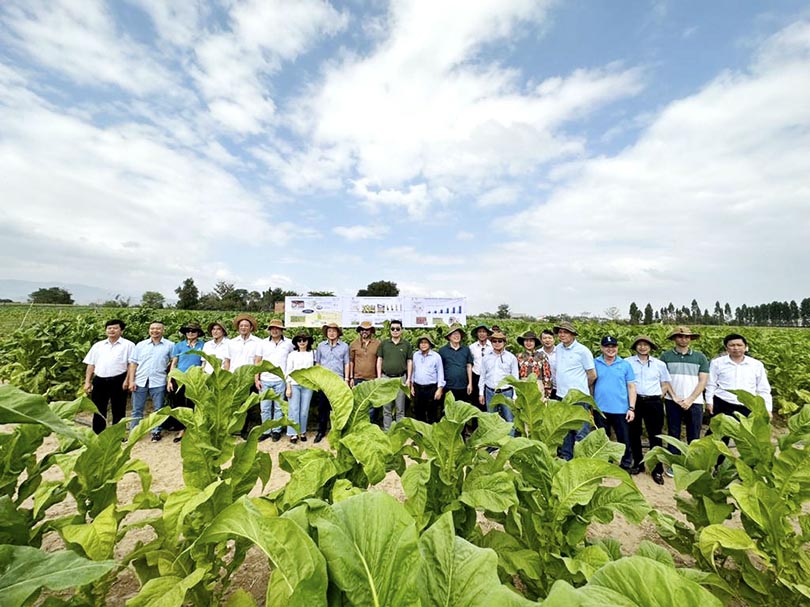 BAT Vinataba Participated In The Trip To The Leaf Growing Area