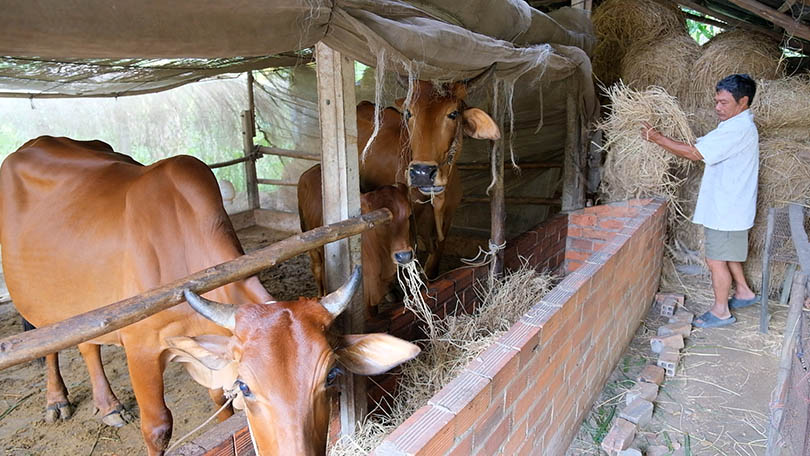 Through various investing models, the loan has enabled many households to stabilize their income and improve their livelihoods.