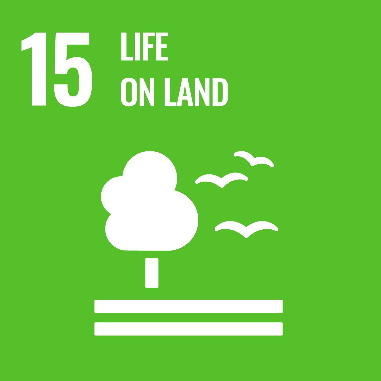 15 live on land